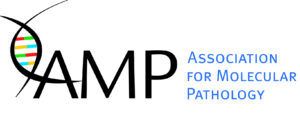 amp logo 4c